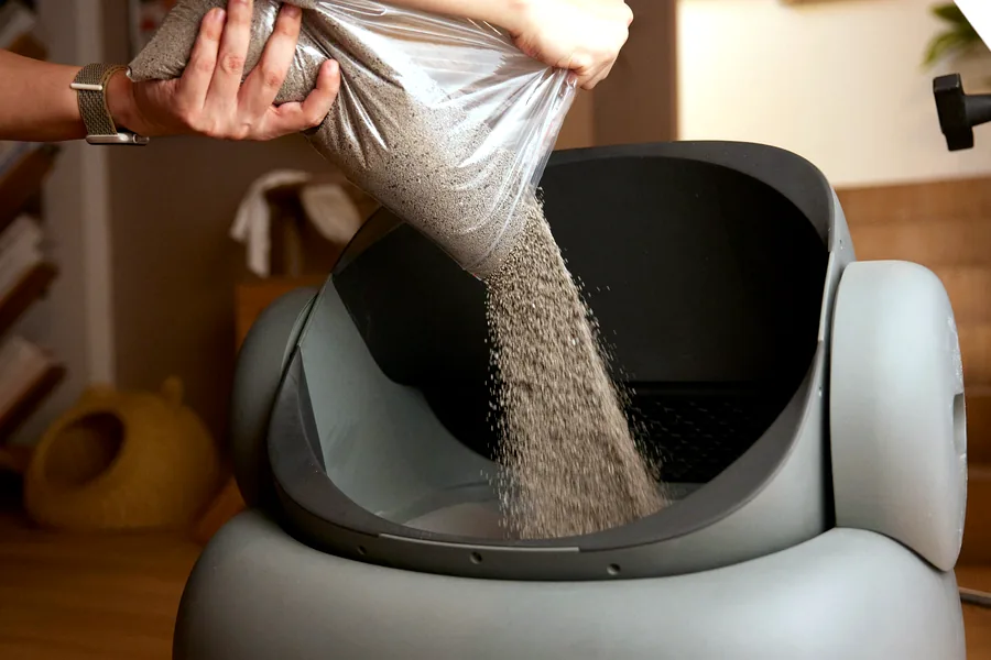 Cat litter being poured into a clean litter box