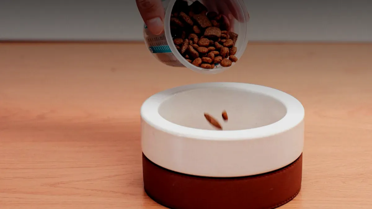 pawwordpets post hero kibble pour bowl dark