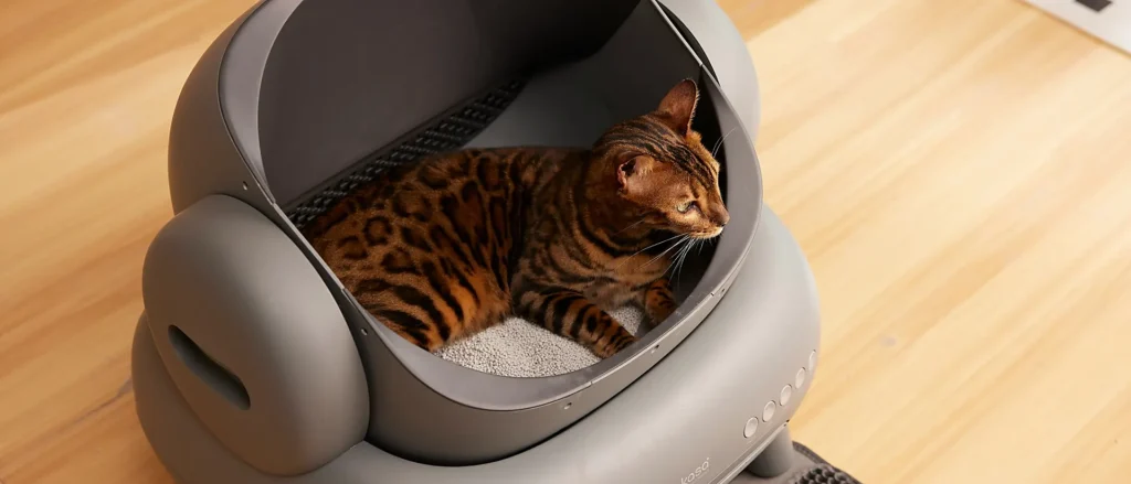pwp cat litter topview hero 1920x823