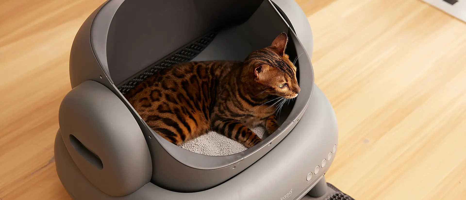 pwp cat litter topview hero 1920x823